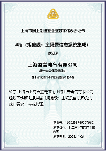 数字化诊断证书